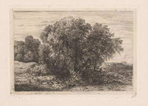 Group of trees with a figure