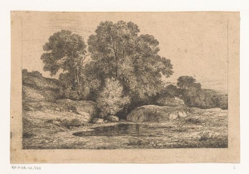 Group of trees by a pond