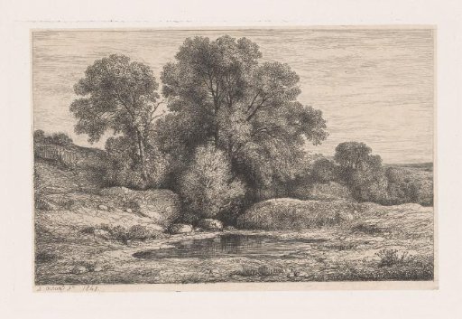 Trees by a pond