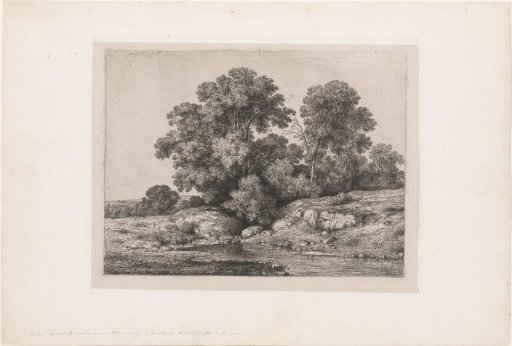 Pond at the foot of a group of trees