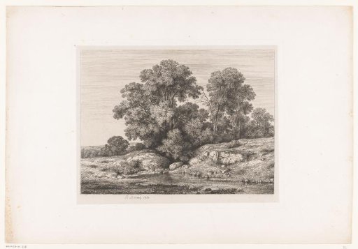 Pond at the foot of a group of trees