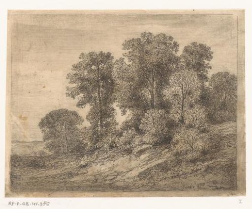 Trees and Shrubbery on a Hill