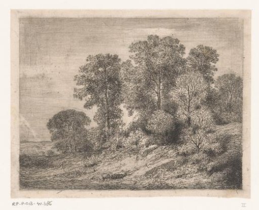 Trees and Shrubbery on a Hill