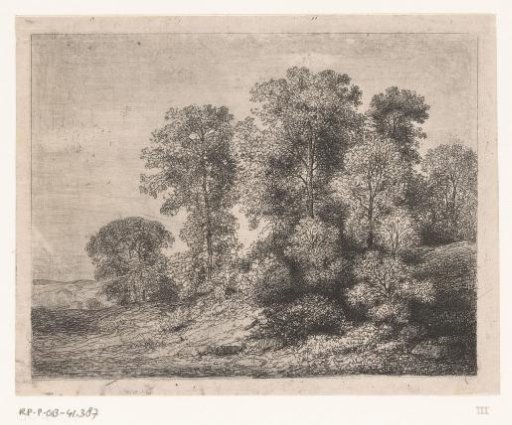 Trees and Shrubbery on a Hill