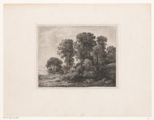 Trees and Shrubbery on a Hill