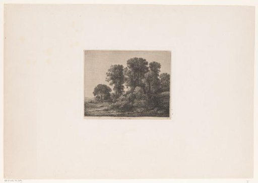 Trees and Shrubbery on a Hill