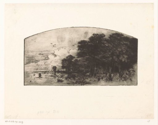 Cows at the Edge of a Forest