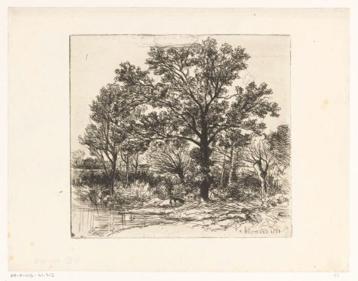 Trees by the Water