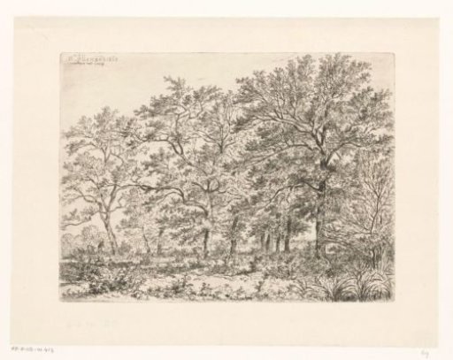 Wooded landscape with a walker