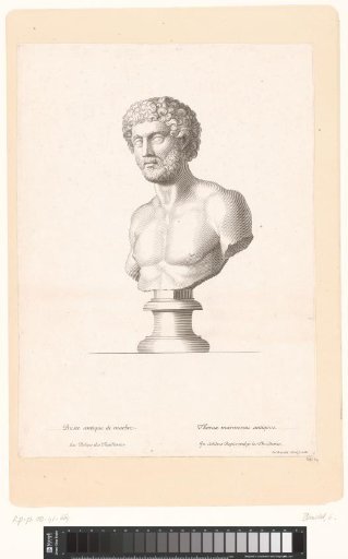 Antique Bust of a Bearded Man