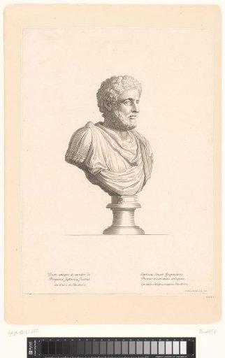 Antique Bust of Emperor Septimius Severus