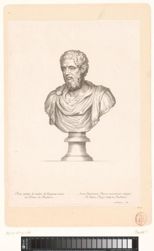 Antique Bust of Severus