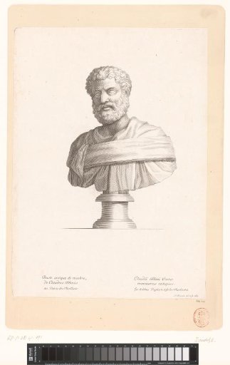 Antique Bust of Clodius Albinus