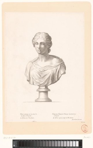 Antique Bust of Cleopatra