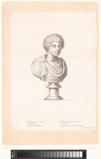 Antique Bust of Geta