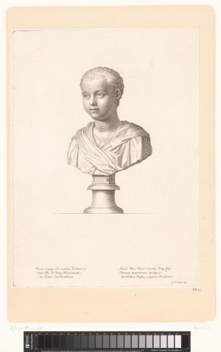 Antique Bust of Marcus Annius Verus