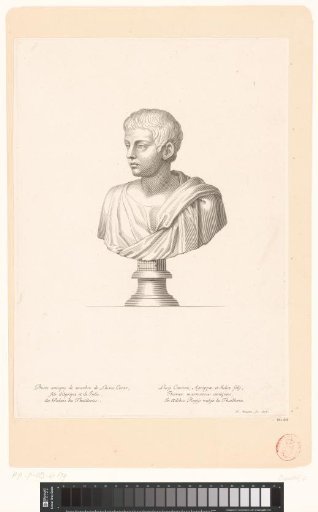 Antique Bust of Lucius Iulius Caesar Vipsanianus