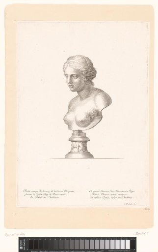 Antique Bust of Cleopatra Selene II