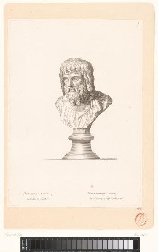 Antique Bust of a Bearded Man