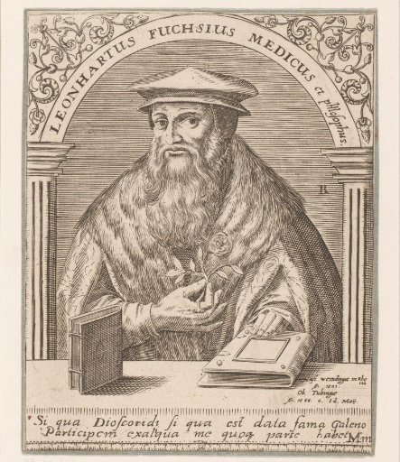 Portrait of Leonhart Fuchs