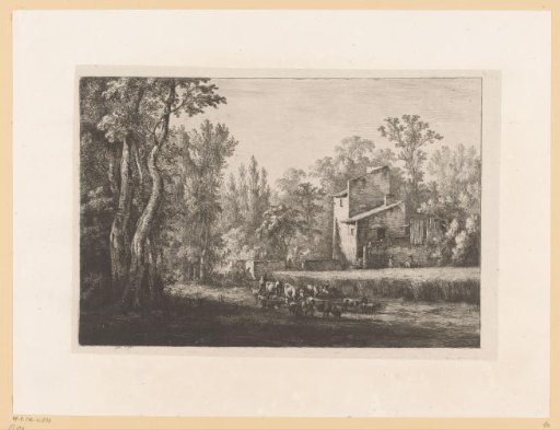 Flock and cornfield near a farmhouse