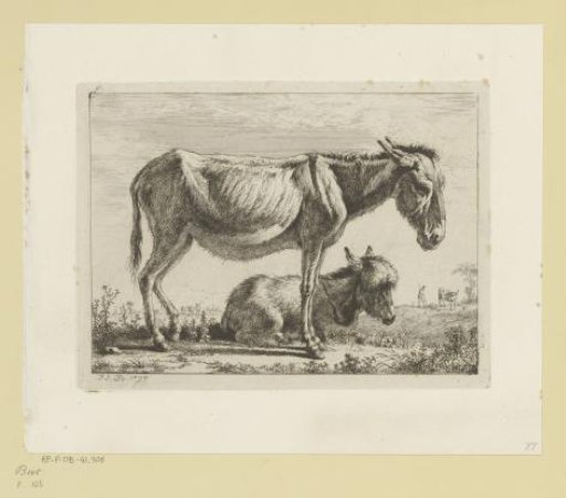 Donkey with foal