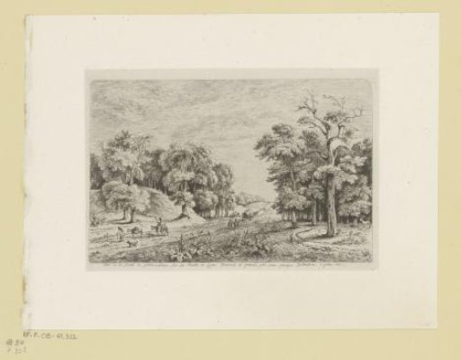 View of the forest of Fontainebleau
