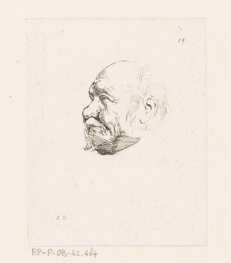 Head of a bald man