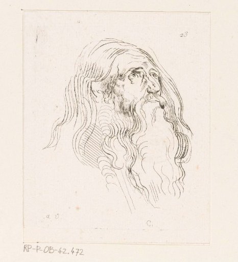 Head of a man looking upwards with a beard