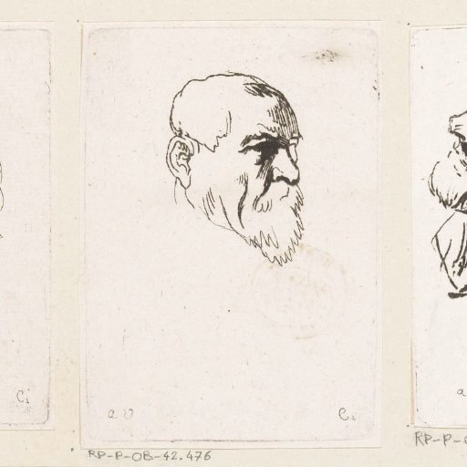 Head of a man with a beard