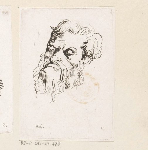 Head of a man with a beard