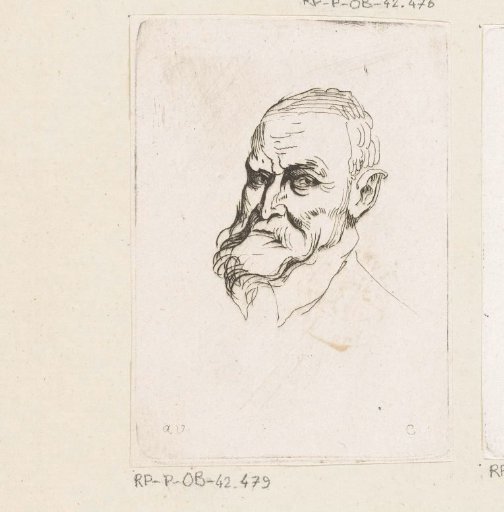Head of a man with a beard