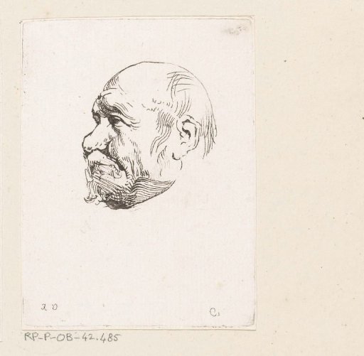 Head of a bald man