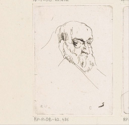 Head of an old man with a beard