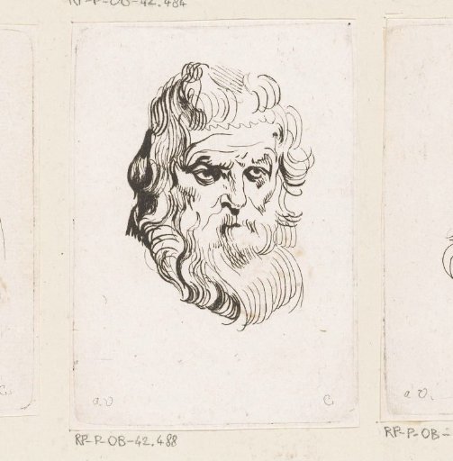 Head of a man with a beard