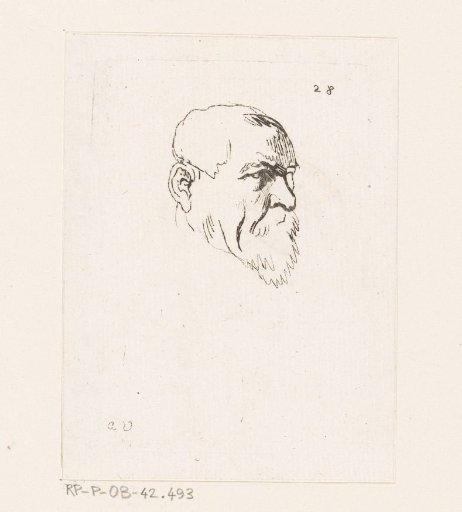 Head of a man with a beard