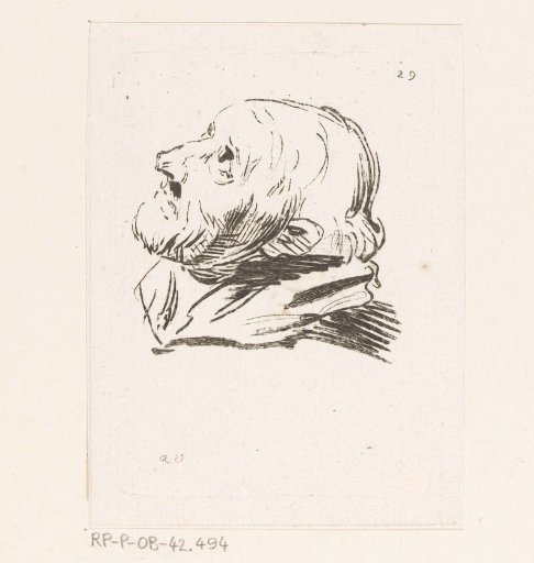 Head of a man looking upwards