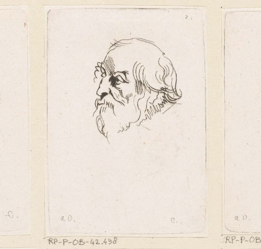 Head of a man with a beard