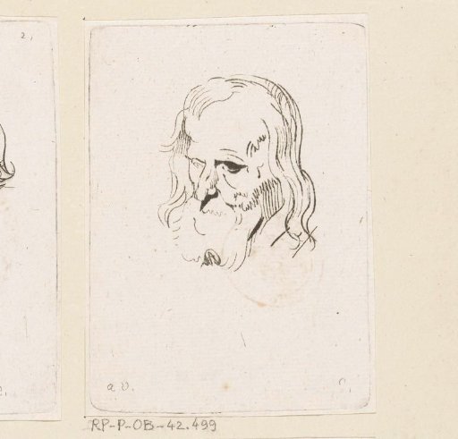 Head of a man with a beard