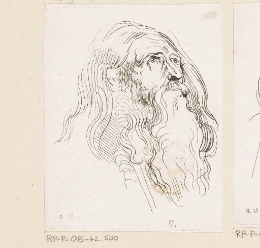 Head of a man with a beard looking upwards