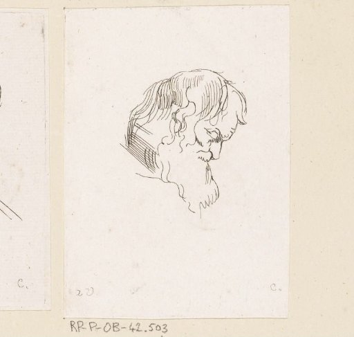 Head of an old man with a beard