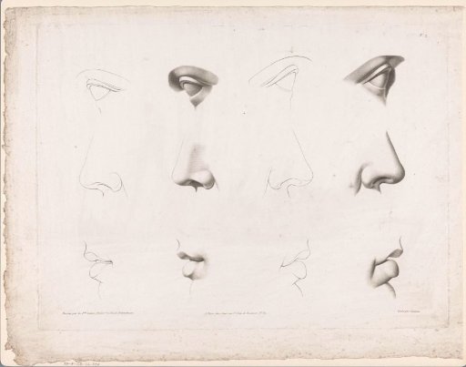 Twelve studies of eyes and noses