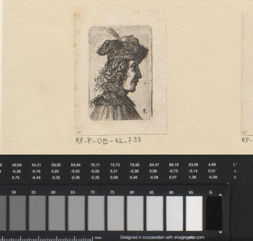 Man with a brimmed cap in profile