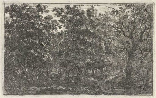 Seuniger forest