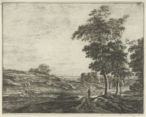 At the Edge of the Hague Forest
