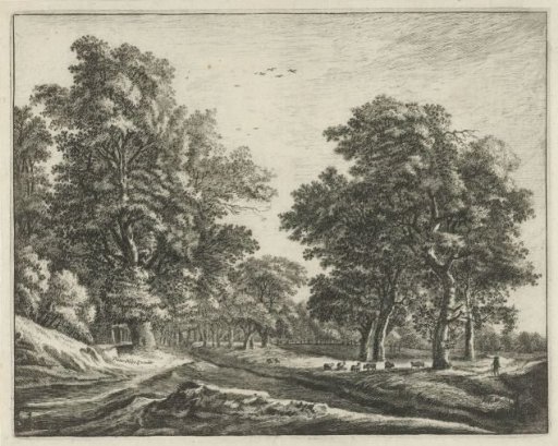 Clearing in the Haagse Bos