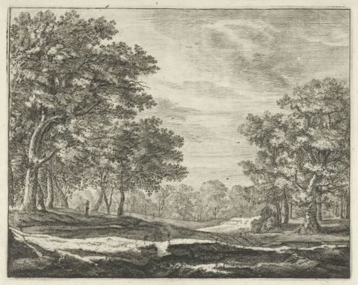 Walker in the Hague Forest