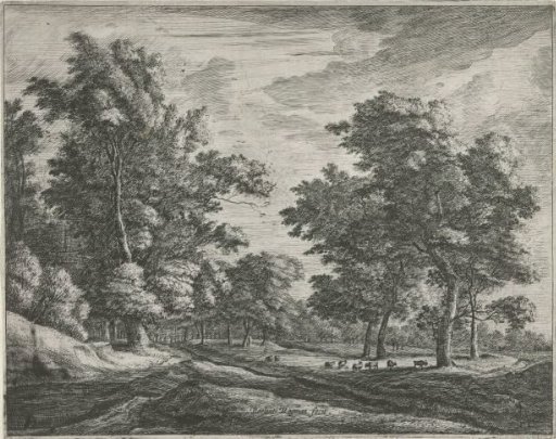 Clearing in the Haagse Bos