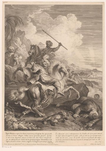 Leopard hunt