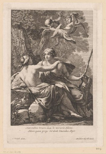 Venus and Adonis